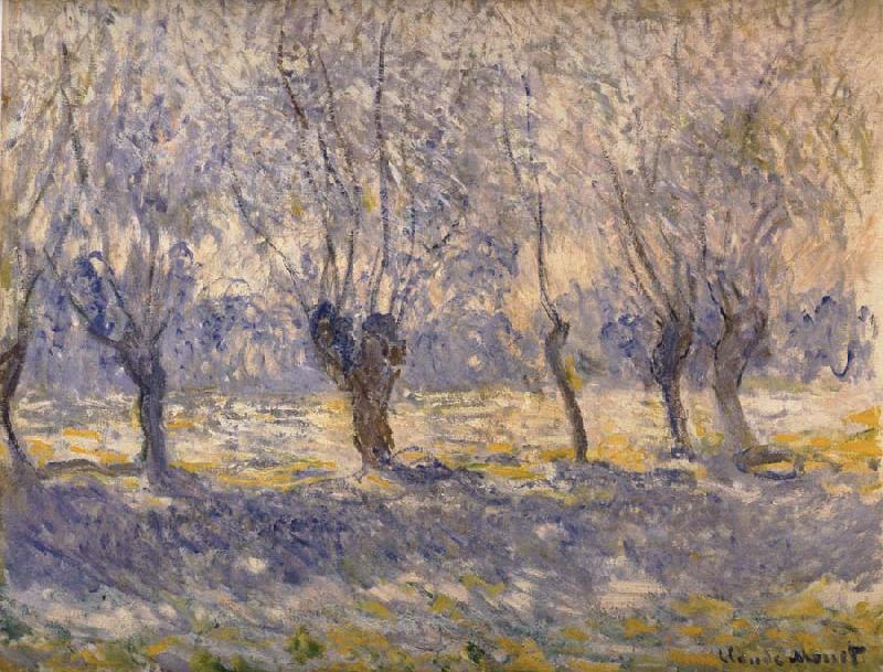  Willows in Haze,Giverny
